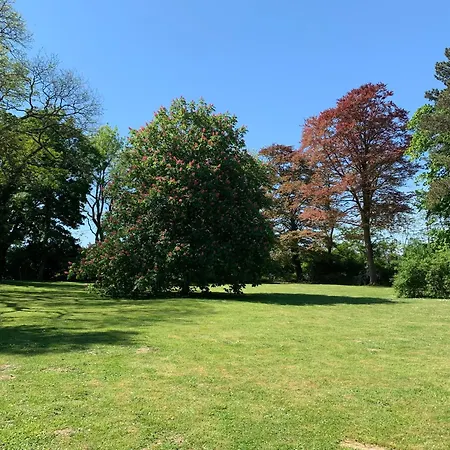 Bed & Breakfast Chateau Du Mont De